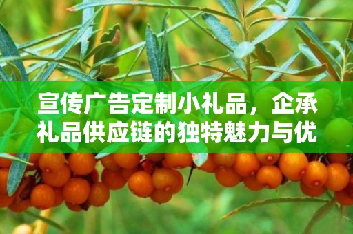宣传广告定制小礼品，企承礼品供应链的独特魅力与优势